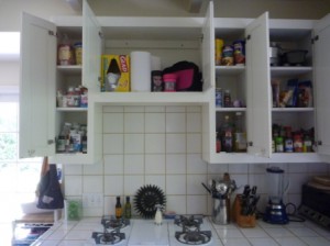 get organized already, professional organizers