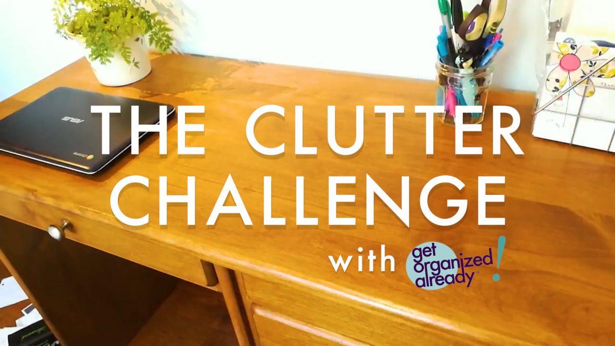 get organized already, professional organizers