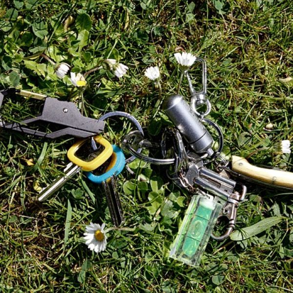 keys in grass