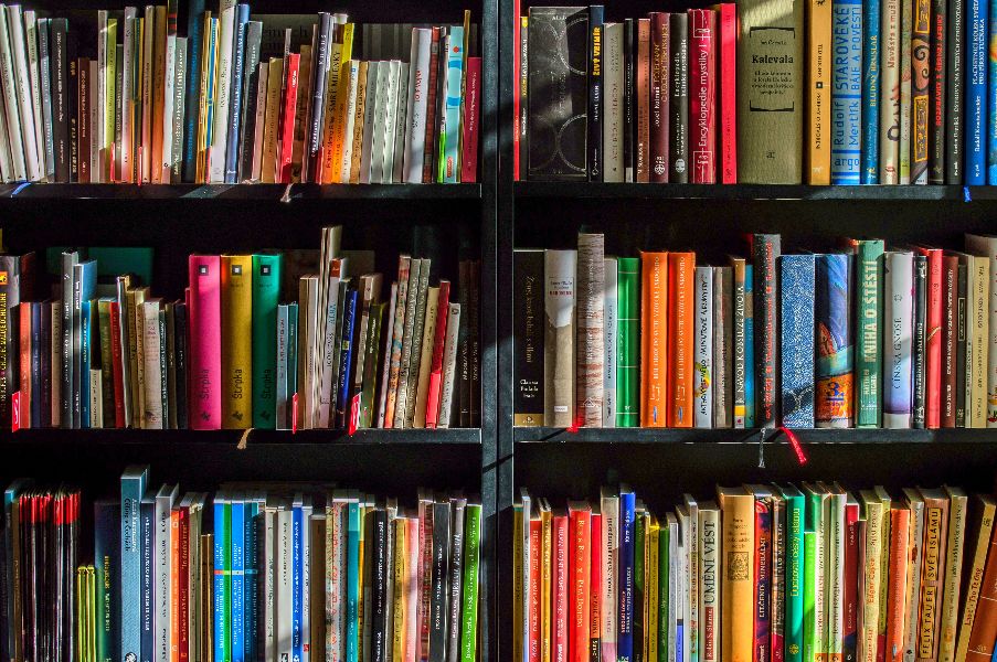 bookshelf full of books