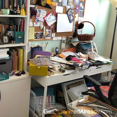 get organized already, professional organizers