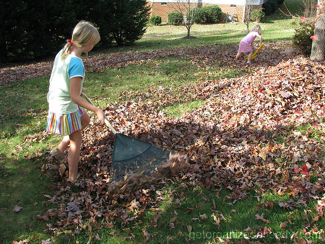 involve your children in yard organizing